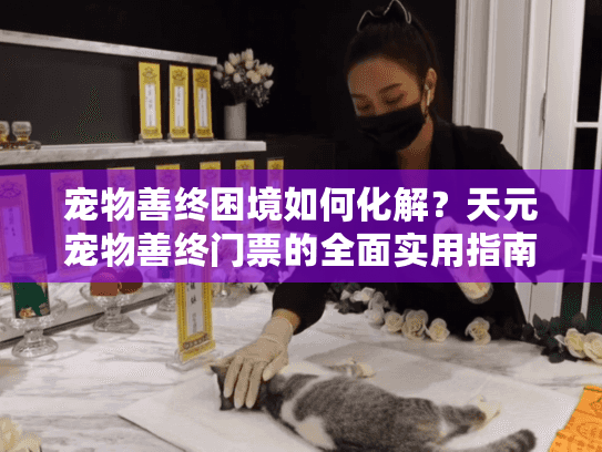 宠物善终困境如何化解？天元宠物善终门票的全面实用指南