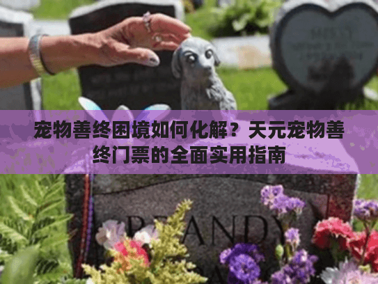 宠物善终困境如何化解？天元宠物善终门票的全面实用指南
