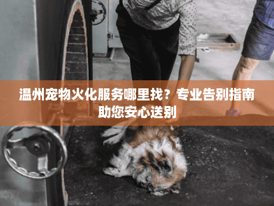 温州宠物火化服务哪里找？专业告别指南助您安心送别