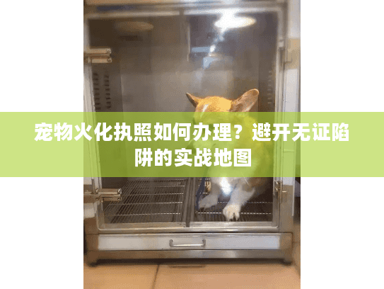 宠物火化执照如何办理？避开无证陷阱的实战地图