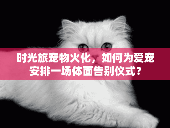 时光旅宠物火化，如何为爱宠安排一场体面告别仪式？