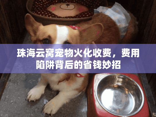 珠海云窝宠物火化收费，费用陷阱背后的省钱妙招