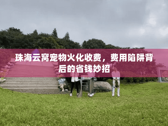 珠海云窝宠物火化收费，费用陷阱背后的省钱妙招