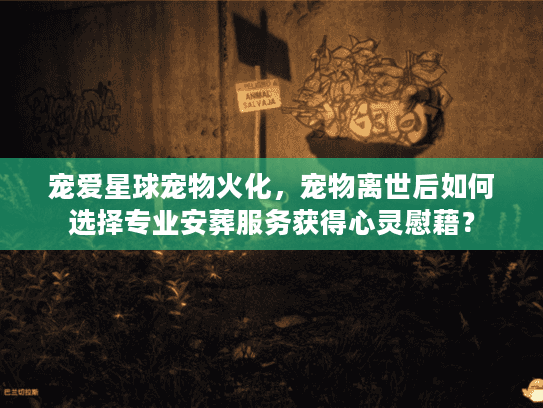 宠爱星球宠物火化，宠物离世后如何选择专业安葬服务获得心灵慰藉？