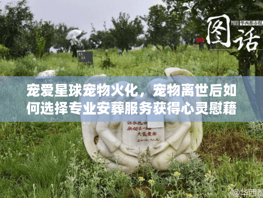 宠爱星球宠物火化，宠物离世后如何选择专业安葬服务获得心灵慰藉？