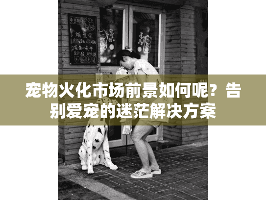 宠物火化市场前景如何呢？告别爱宠的迷茫解决方案