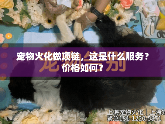 宠物火化做项链，这是什么服务？价格如何？