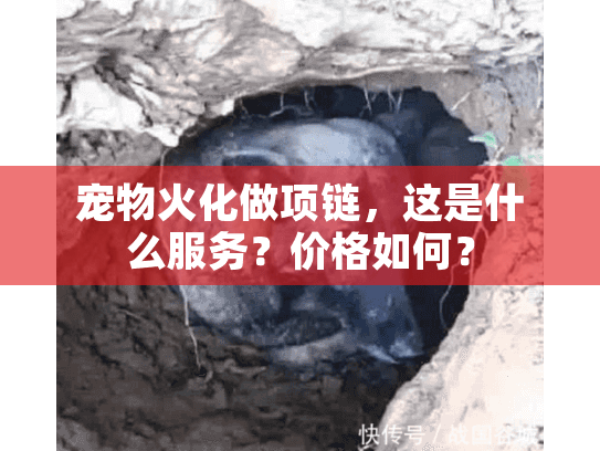 宠物火化做项链，这是什么服务？价格如何？