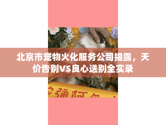 北京市宠物火化服务公司揭露，天价告别VS良心送别全实录