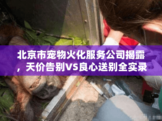 北京市宠物火化服务公司揭露，天价告别VS良心送别全实录