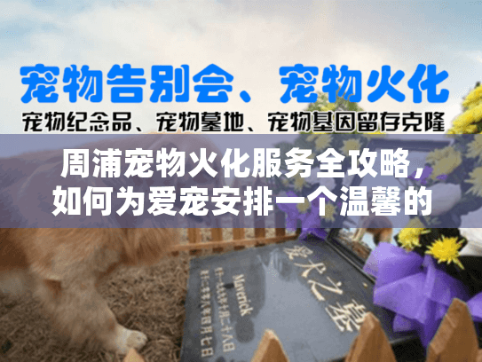 周浦宠物火化服务全攻略，如何为爱宠安排一个温馨的告别仪式？