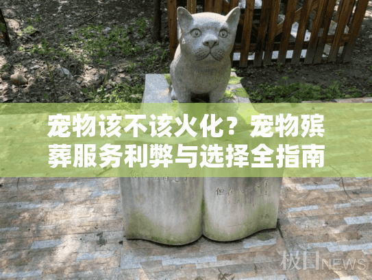 宠物该不该火化？宠物殡葬服务利弊与选择全指南