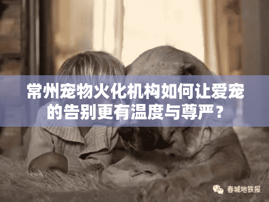 常州宠物火化机构如何让爱宠的告别更有温度与尊严？