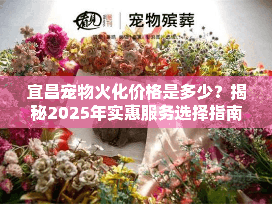宜昌宠物火化价格是多少？揭秘2025年实惠服务选择指南