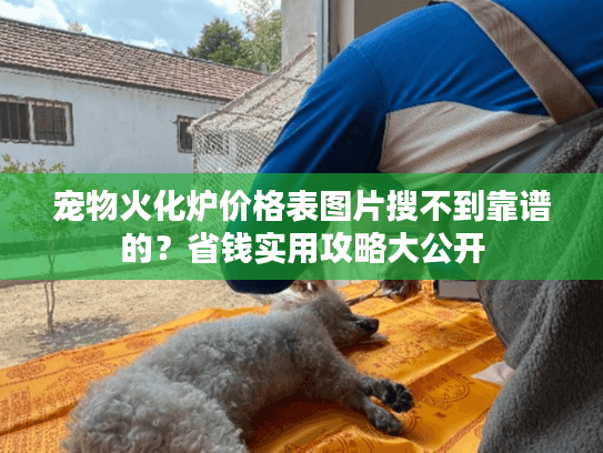 宠物火化炉价格表图片搜不到靠谱的？省钱实用攻略大公开
