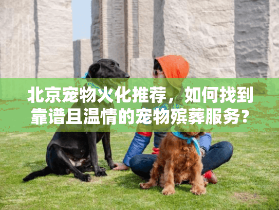 北京宠物火化推荐，如何找到靠谱且温情的宠物殡葬服务？
