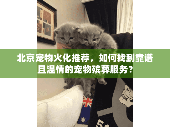 北京宠物火化推荐，如何找到靠谱且温情的宠物殡葬服务？