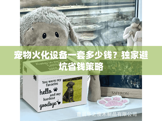 宠物火化设备一套多少钱？独家避坑省钱策略