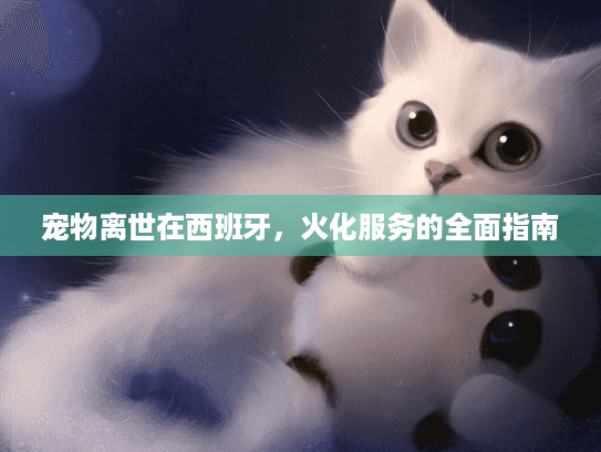 宠物离世在西班牙，火化服务的全面指南