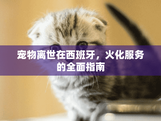 宠物离世在西班牙，火化服务的全面指南
