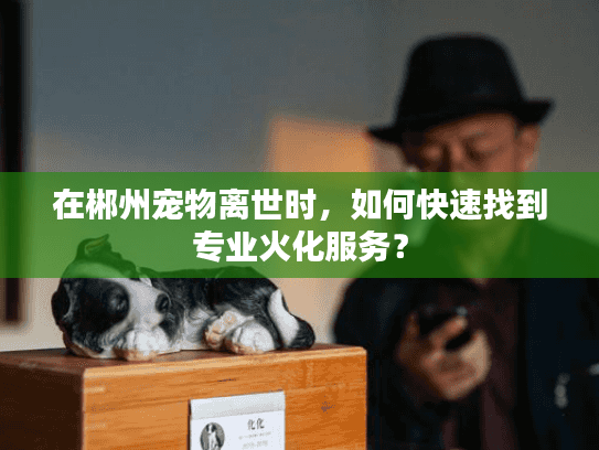 在郴州宠物离世时，如何快速找到专业火化服务？