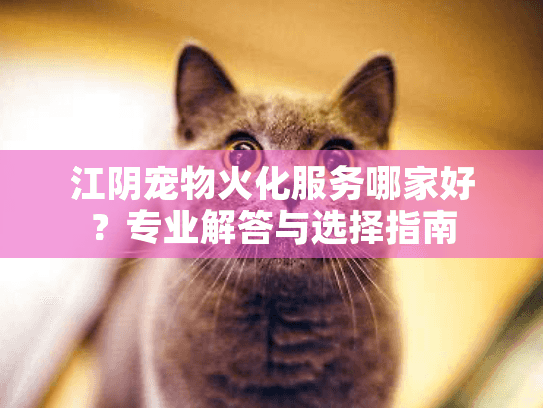 江阴宠物火化服务哪家好？专业解答与选择指南