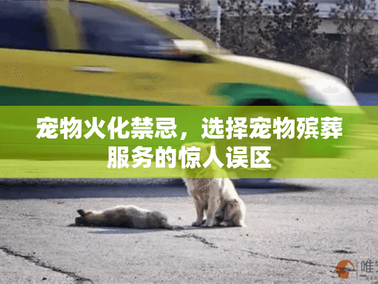 宠物火化禁忌,选择宠物殡葬服务的惊人误区 宠物火化禁忌,选择宠物殡葬服务的惊人误区