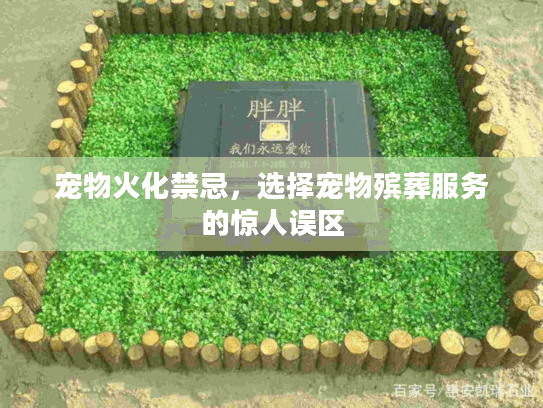 宠物火化禁忌,选择宠物殡葬服务的惊人误区 宠物火化禁忌,选择宠物殡葬服务的惊人误区