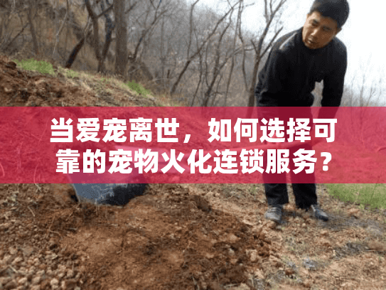 当爱宠离世，如何选择可靠的宠物火化连锁服务？