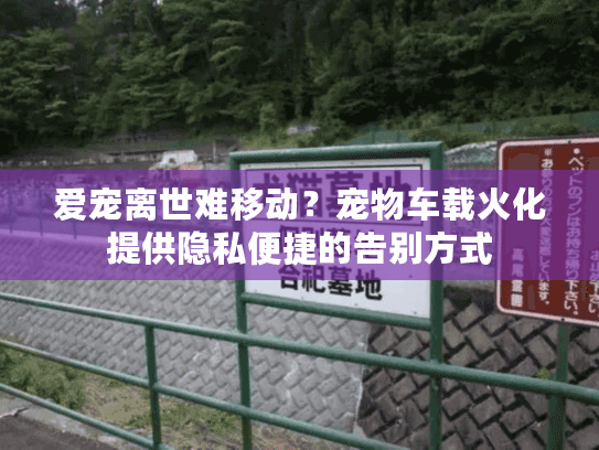 爱宠离世难移动？宠物车载火化提供隐私便捷的告别方式