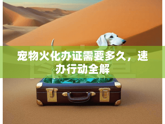 宠物火化办证需要多久，速办行动全解