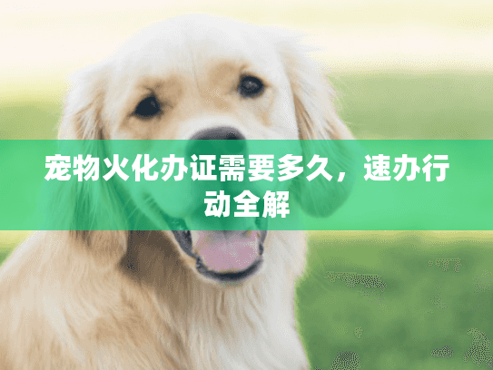 宠物火化办证需要多久，速办行动全解