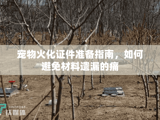 宠物火化证件准备指南，如何避免材料遗漏的痛