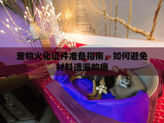 宠物火化证件准备指南，如何避免材料遗漏的痛