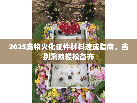 2025宠物火化证件材料速成指南，告别繁琐轻松备齐