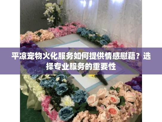 平凉宠物火化服务如何提供情感慰藉？选择专业服务的重要性