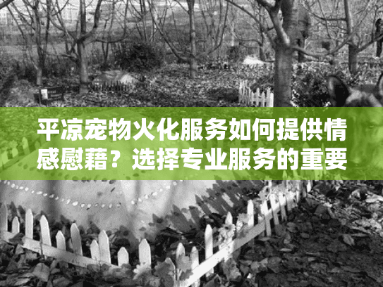 平凉宠物火化服务如何提供情感慰藉？选择专业服务的重要性