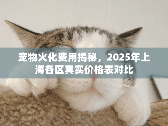 宠物火化费用揭秘，2025年上海各区真实价格表对比
