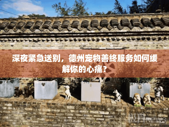 深夜紧急送别，德州宠物善终服务如何缓解你的心痛？
