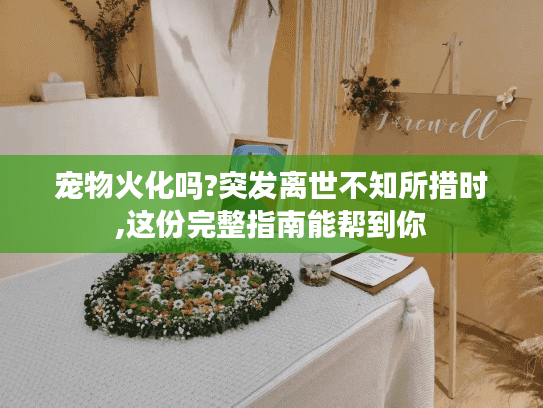 宠物火化吗?突发离世不知所措时,这份完整指南能帮到你