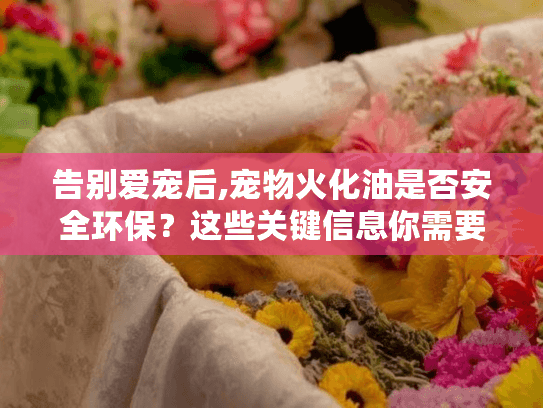 告别爱宠后,宠物火化油是否安全环保？这些关键信息你需要知道