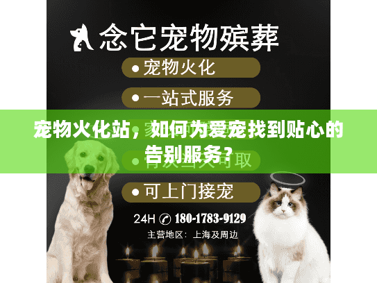 宠物火化站，如何为爱宠找到贴心的告别服务？