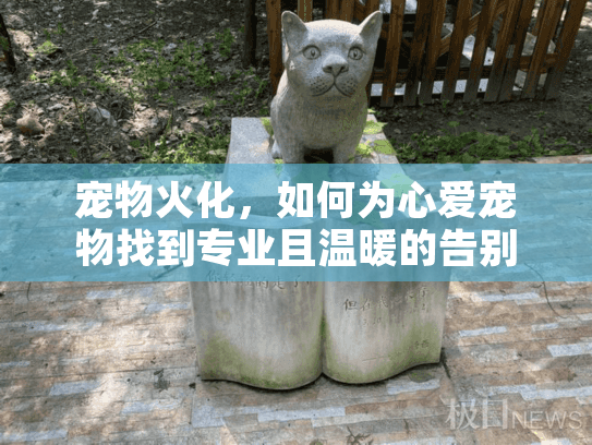 宠物火化，如何为心爱宠物找到专业且温暖的告别服务？