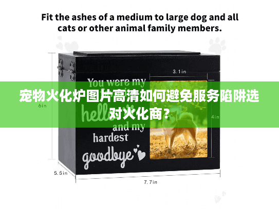 宠物火化炉图片高清如何避免服务陷阱选对火化商？