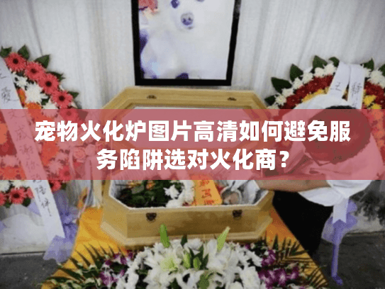 宠物火化炉图片高清如何避免服务陷阱选对火化商？