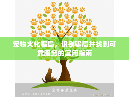 宠物火化骗局，识别骗局并找到可靠服务的实用指南