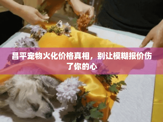 昌平宠物火化价格真相,别让模糊报价伤了你的心 昌平宠物火化价格真相,别让模糊报价伤了你的心