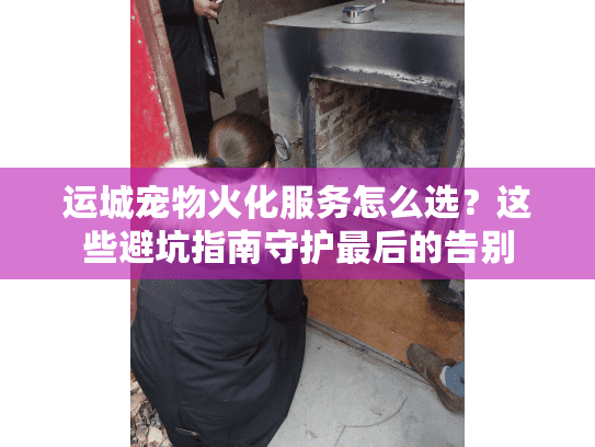 运城宠物火化服务怎么选？这些避坑指南守护最后的告别