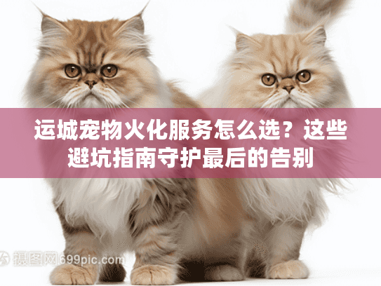 运城宠物火化服务怎么选？这些避坑指南守护最后的告别