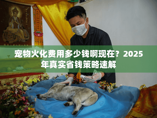 宠物火化费用多少钱啊现在？2025年真实省钱策略速解